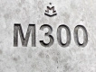 М300